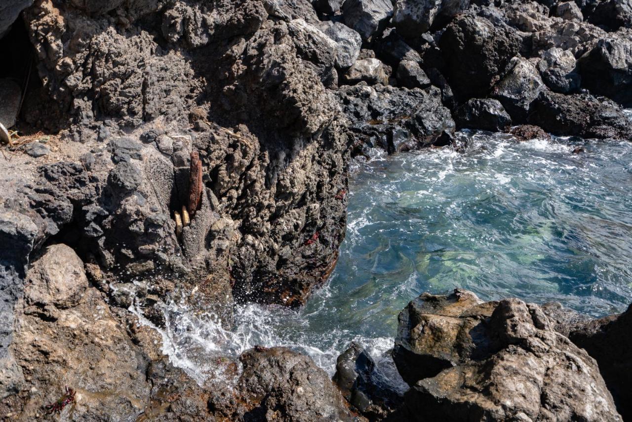 فيلا Breath-Taking Views On The First Line Of The Ocean سانتا كروز دي تينيريف المظهر الخارجي الصورة